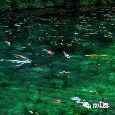 【预警】拥抱年轻化,这不是所有家电品牌转型的唯一选项