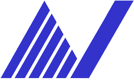 南豐電子(NANFENG) Logo