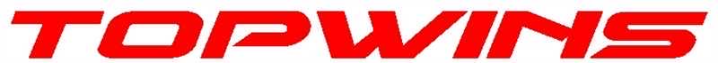 深圳市王仕電子有限公司(topwins) Logo
