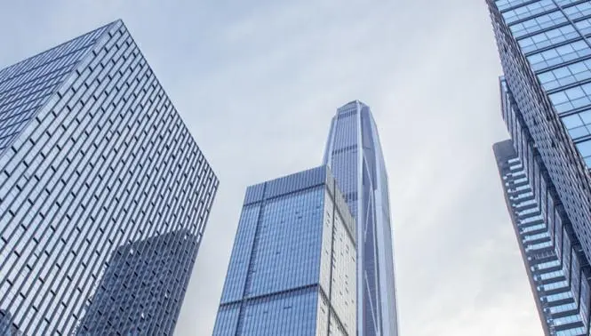 鼎龙股份2024年上半年业绩报告