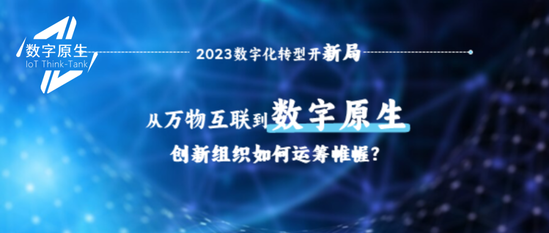 数字原生时代，我们闷声干了点大事！