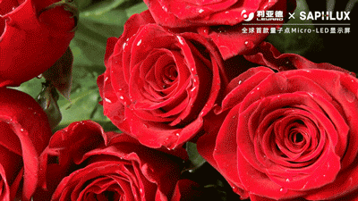 全球首款量子点 Micro LED 芯片导入量产