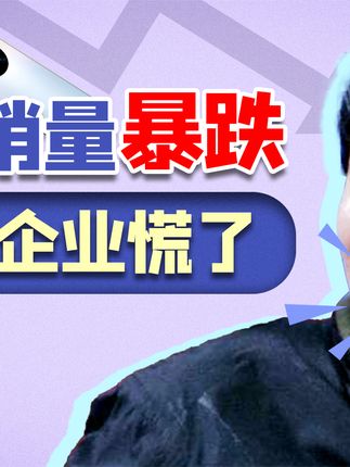 宁南山：华为手机销量暴跌，苹果赚到钱，但不想带中国厂商玩了
