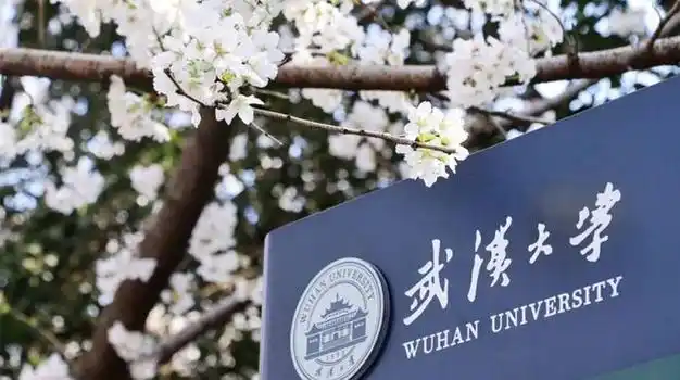 武汉大学人工智能学院揭牌