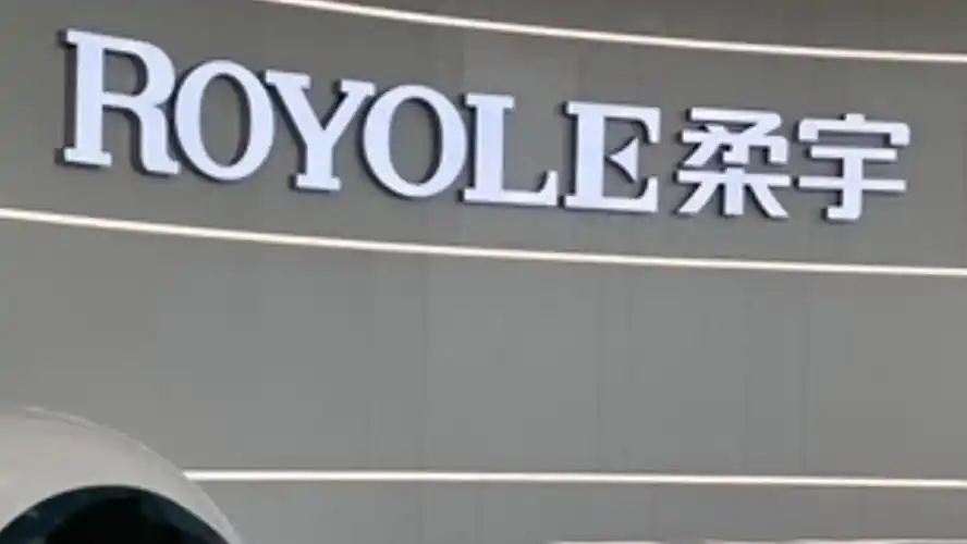柔宇显示资产拍卖一波三折，二拍降价约2.5亿再寻买家