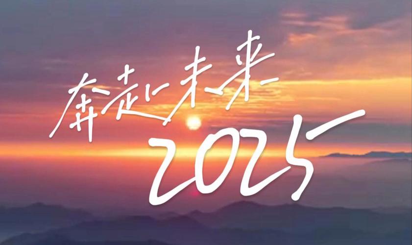 宸鸿2024出货下滑，2025聚焦新事业布局