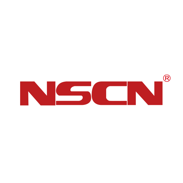 江蘇南山電子工業有限公司(JSNSCN) Logo