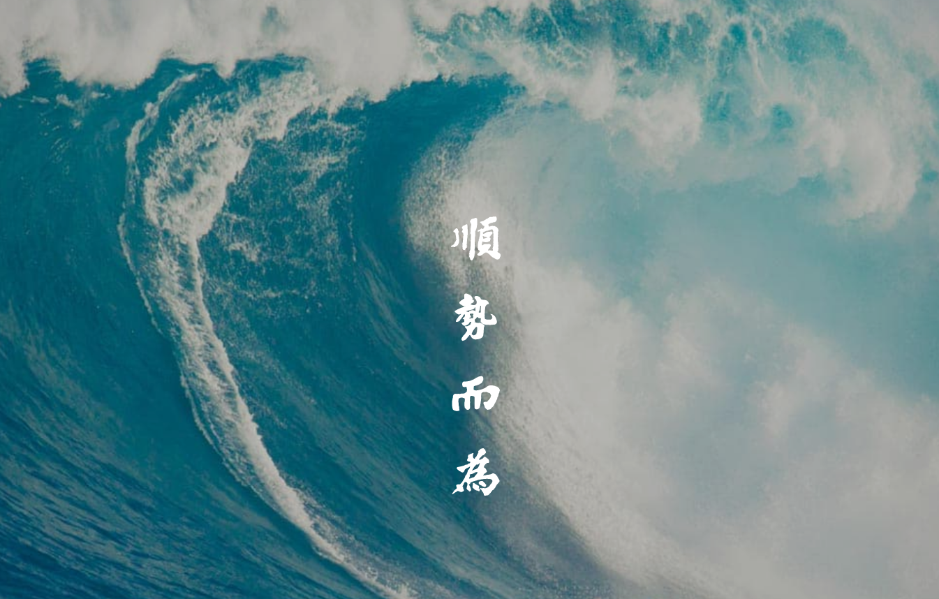 顺为资本投资布局版图-充电头网