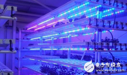 LED植物生长灯的发展前景分析-icspec