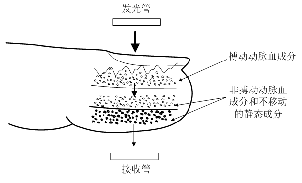 疫情下，血氧仪供应现紧张？泰矽微发布高性能指夹式血氧仪参考方案