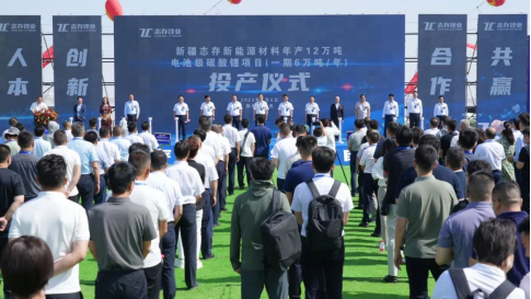国内单体最大碳酸锂项目投产，对锂价影响有多大？