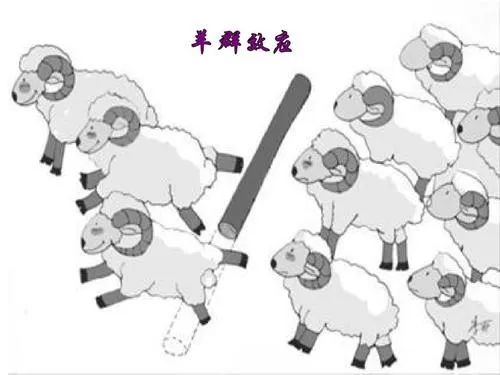 硬科技VC投资精进之路