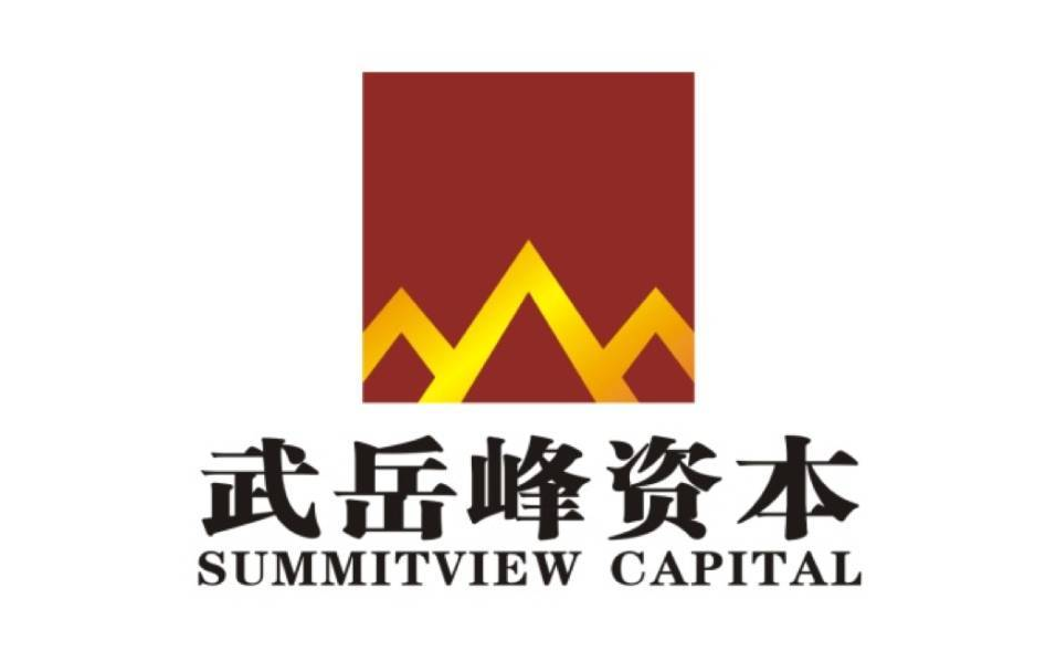 武岳峰资本投资布局版图-充电头网