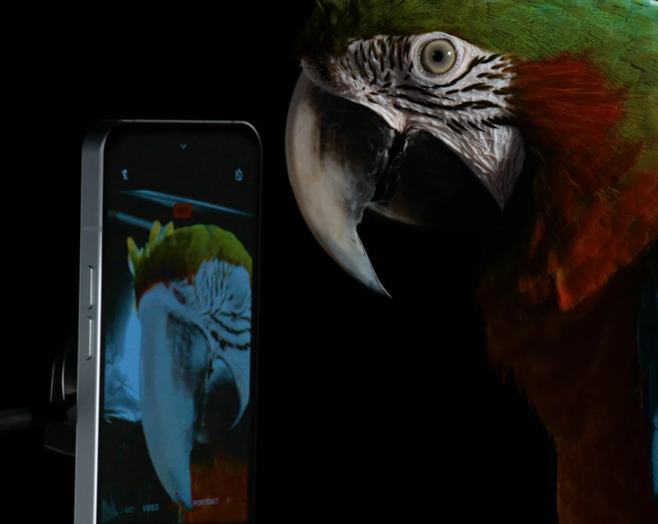 Nothing Phone（1）
