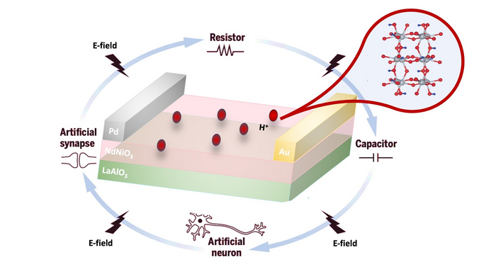 Hydrogen-Ions-Nickelate-Figure.png