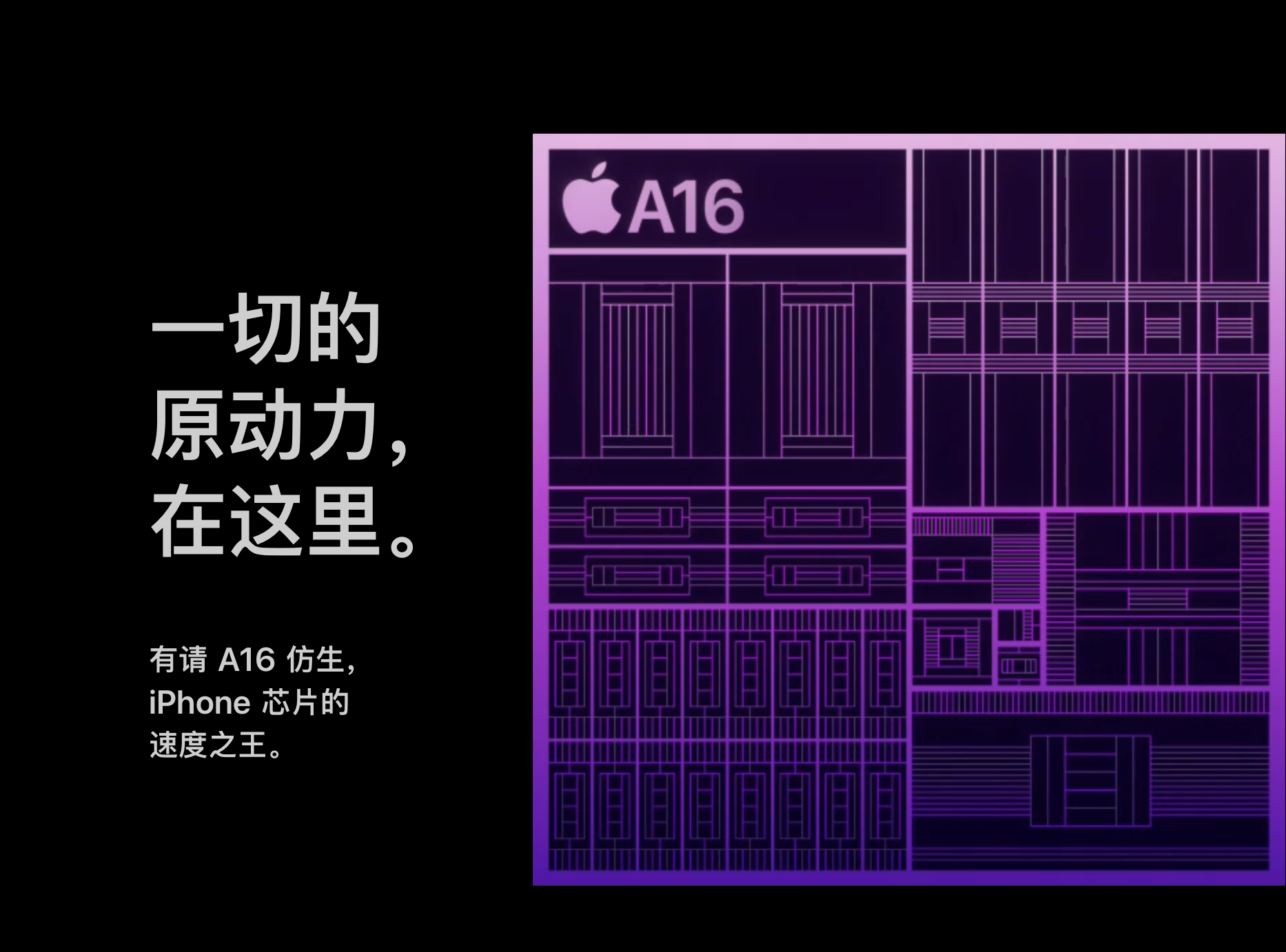 16289a01bd2a4d99b233f23b27309af9.png
