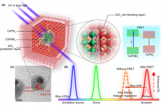 厦门大学半导体照明实验室在Micro-LED全彩显示技术方面取得突破性进展