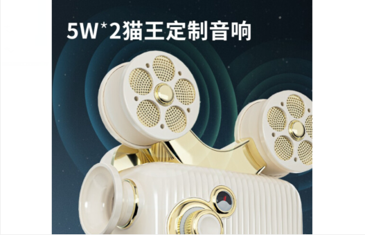 拆解测评：猫王灵感p5投影仪