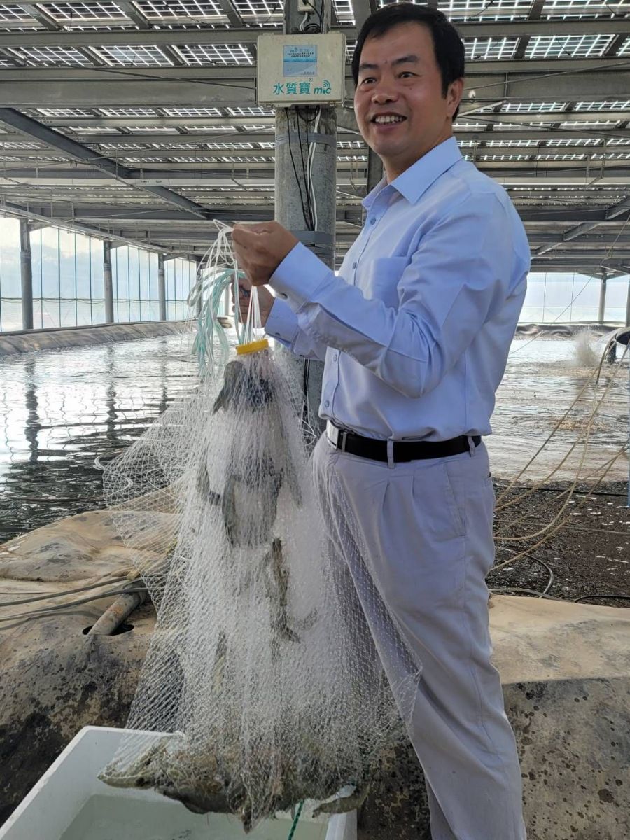茂迪TopCon「小快艇」巧避国内「航空母舰」 乐收虾电共生渔翁之利