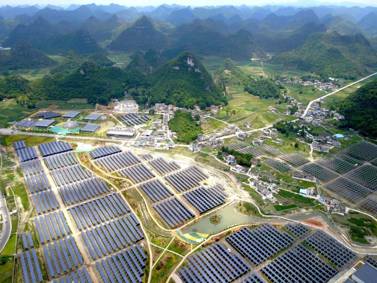 透过卫星照片、国土数据、与无人机，发现日本深山大规模太阳能发电厂潜藏大规模问题。图为森林中的太阳能发电厂。法新社