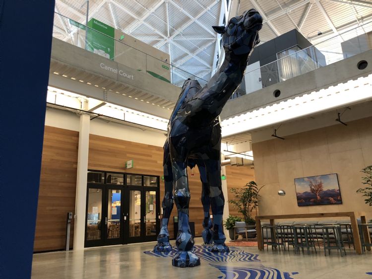 Google Bay View大楼内的Camel Court空间有座引人注目的蓝色骆驼。林佳楠摄