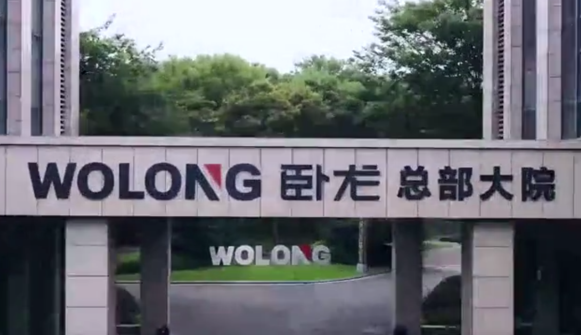 卧龙电驱投资设立精密动力系统公司