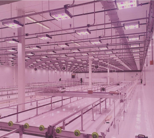 艾迈斯欧司朗助力未来农业_应用场景