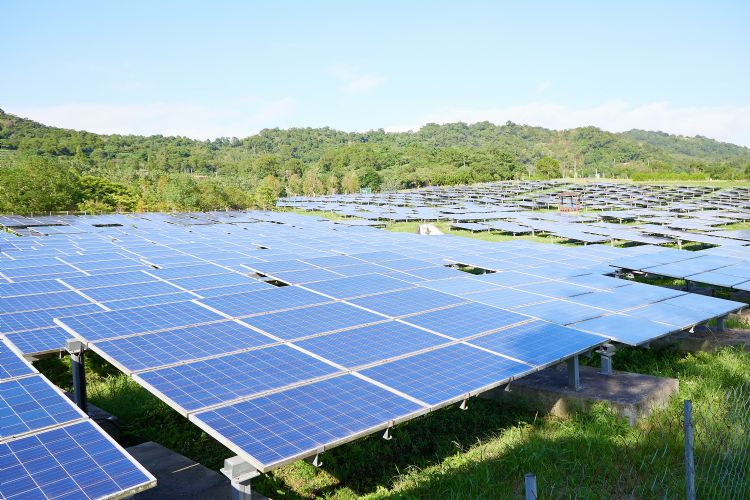 全球已有超过130国家宣示净零排放目标，净零转型已是不可逆趋势。李建梁摄