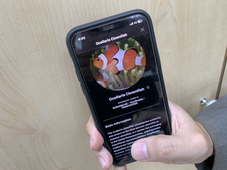 Xpark在台湾导入扫描型AI图监LINNE LNES App，只要扫描海洋生物就能藉AI识别出生物种类并显示生物介绍。谢承学摄
