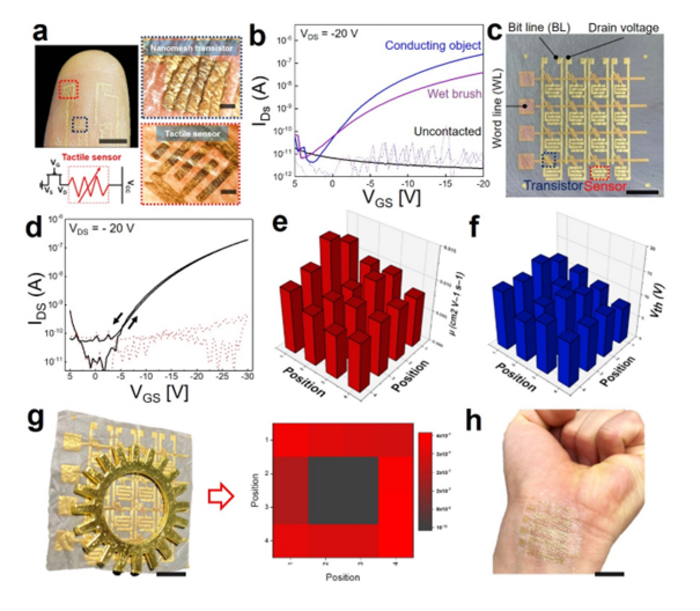 Low-Res_2.Photographic data related to research results.png.png