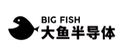 Big Fish(大魚半導(dǎo)體)