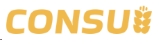 康穗(CONSUI) Logo