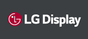 LG DISPLAY