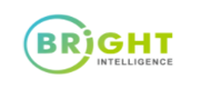 BrightIntelligence(新亮智能)