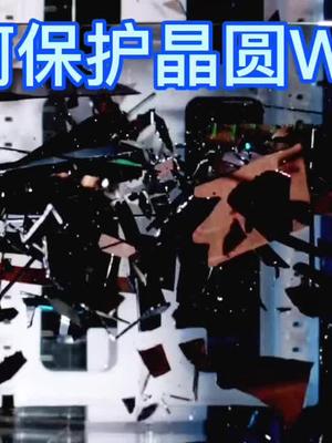 晶圆Wafer保护包装设计知识创作人 芯片