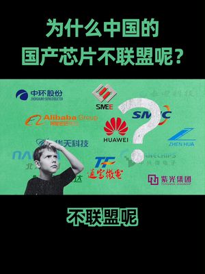 如果全国的芯片企业联合起来，我们就能逆风翻盘吗？现实可能没这么简单。。。 芯片 中国崛起