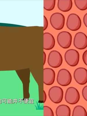 为了少伤害动物，这家美国公司要把人造肉摆上餐桌