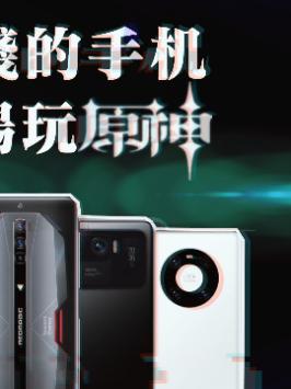「领菁微观2021」多少钱的手机能流畅玩《原神》？（33集） 原神