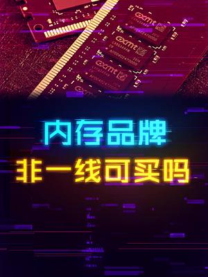 廉价的小众品牌内存可以购买吗？ 这个视频有点料 轻知识计划