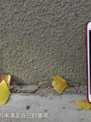 同样是iPhone8plus，租手机跟买手机比哪个更划算？