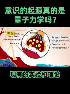 量子力学 人类的意识来自于脑中的量子活动？你相信吗？