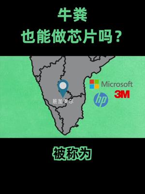 芯片 用牛粪造芯片，印度芯到底行不行？