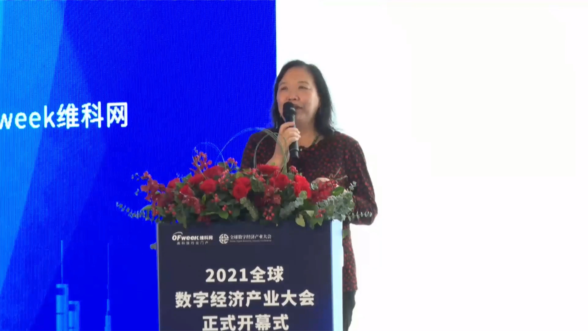 知名专家王晓红分享数字化平台企业在构建新发展格局中的战略作用