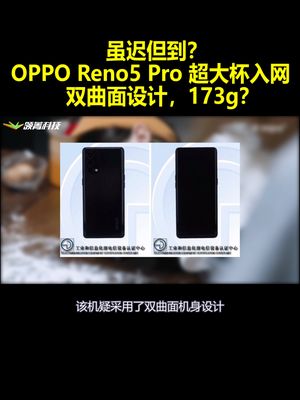 虽迟但到？OPPO Reno5 Pro超大杯入网：双曲面设计 173g？