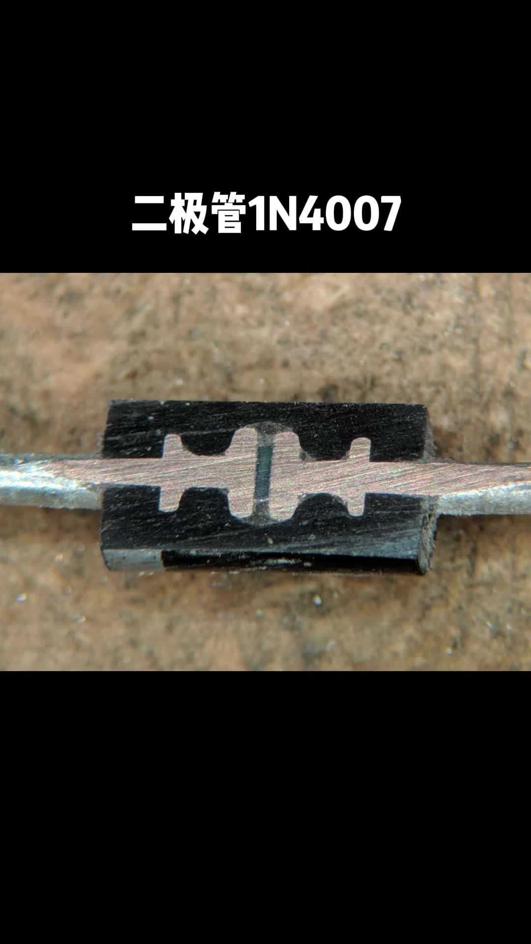 你没见过的电子元器件的另一面 电容 电阻 二极管 电感 电子元器件