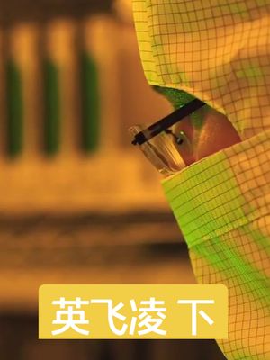 初见英飞凌 -下