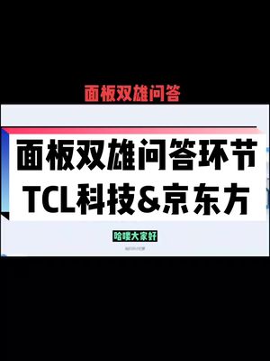 面板双雄问答环节