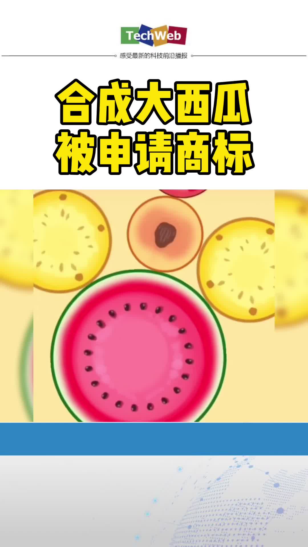 合成大西瓜 被申请商标