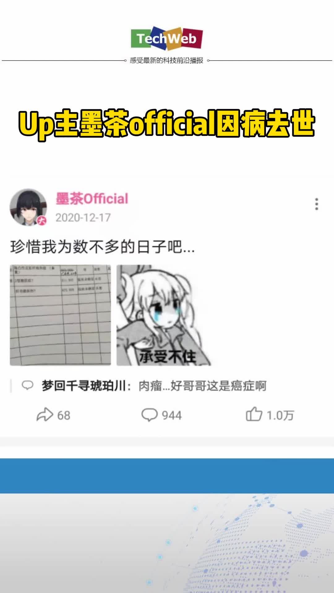 墨茶official很抱歉用这种方式认识你