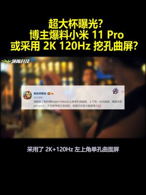 超大杯曝光？博主爆料小米11Pro：或采用2K120Hz挖孔曲屏？